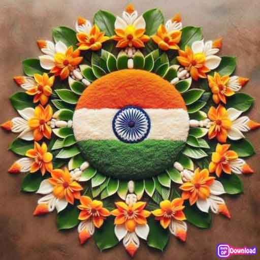 Beautiful Indian Flag Dp 1