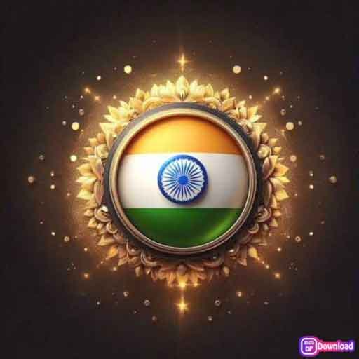 Beautiful Indian Flag Dp 3