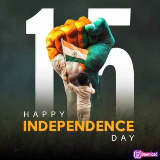 Beautiful Indian Flag Dp 4