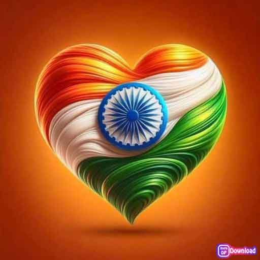 Beautiful Indian Flag Dp 9