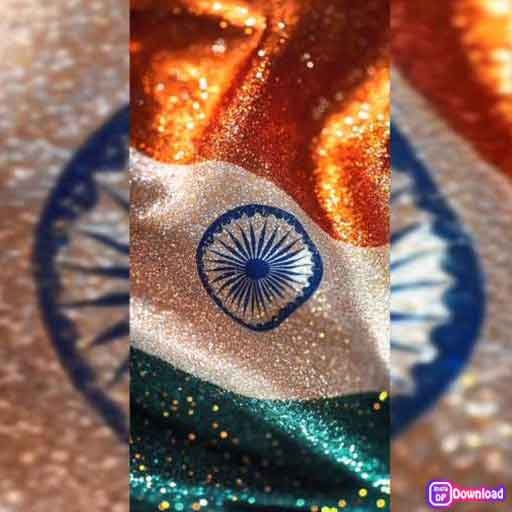 Indian Flag Dp 14