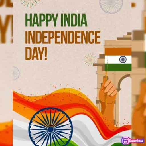 Indian Flag Dp 16