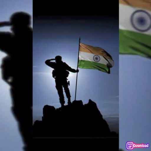 Indian Flag Dp 5