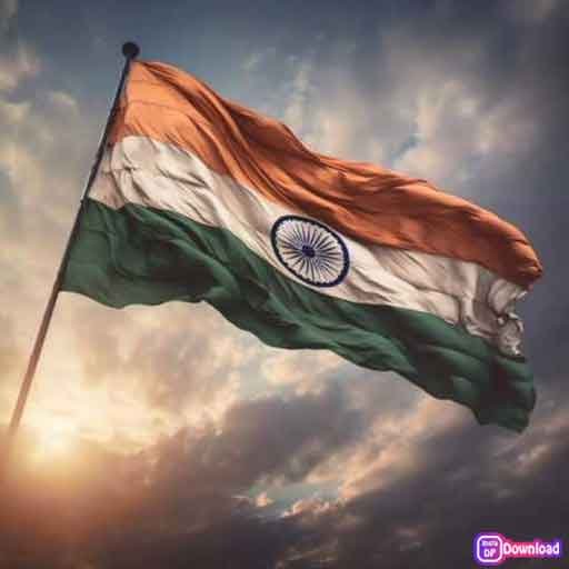 Indian Flag Dp 6
