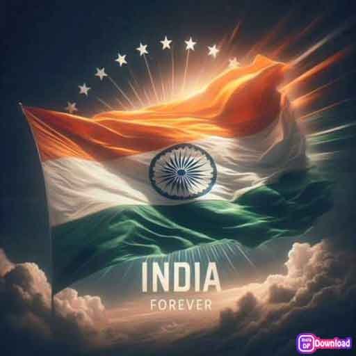 Indian Flag Dp 7
