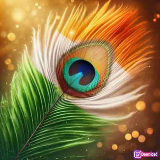 Indian Flag Dp Hd Download 8