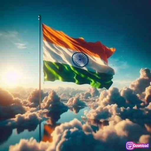 Stylish Indian Flag Dp 2