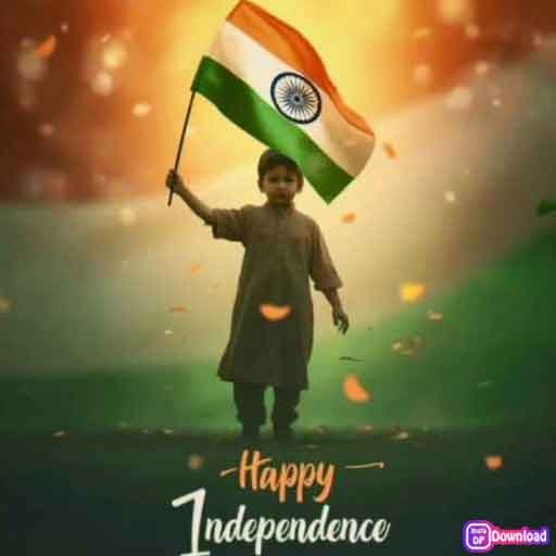 Stylish Indian Flag Dp 4