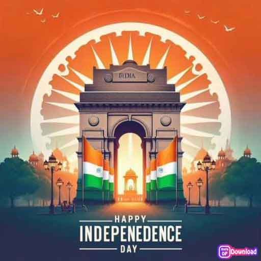 Stylish Indian Flag Dp 5