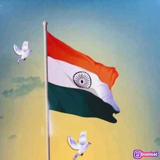 Stylish Indian Flag Dp 6