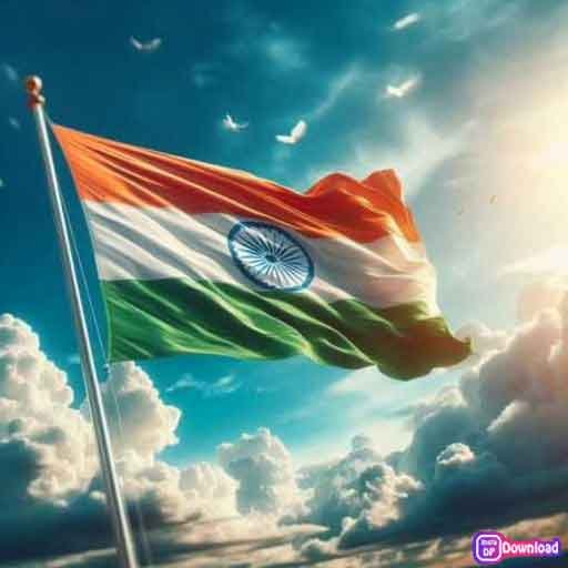 Stylish Indian Flag Dp 7