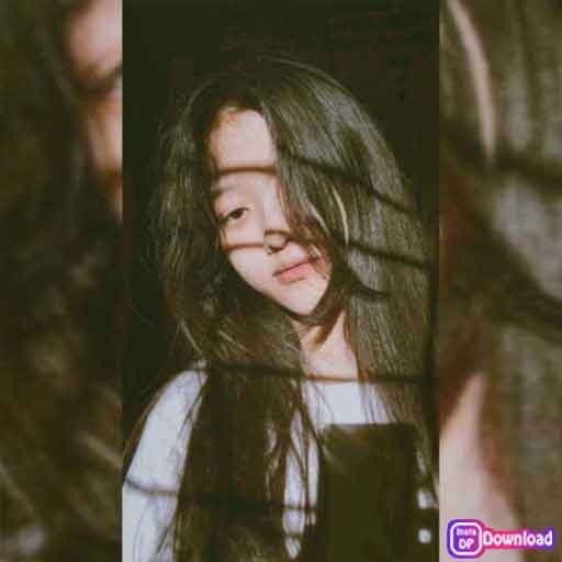 Whatsapp Profile Picture Whatsapp Profile Picture Pookie Dp 5